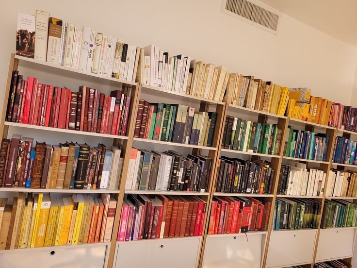 Foto que ilustra matéria sobre como organizar livros mostra uma prateleiras com livros organizados.