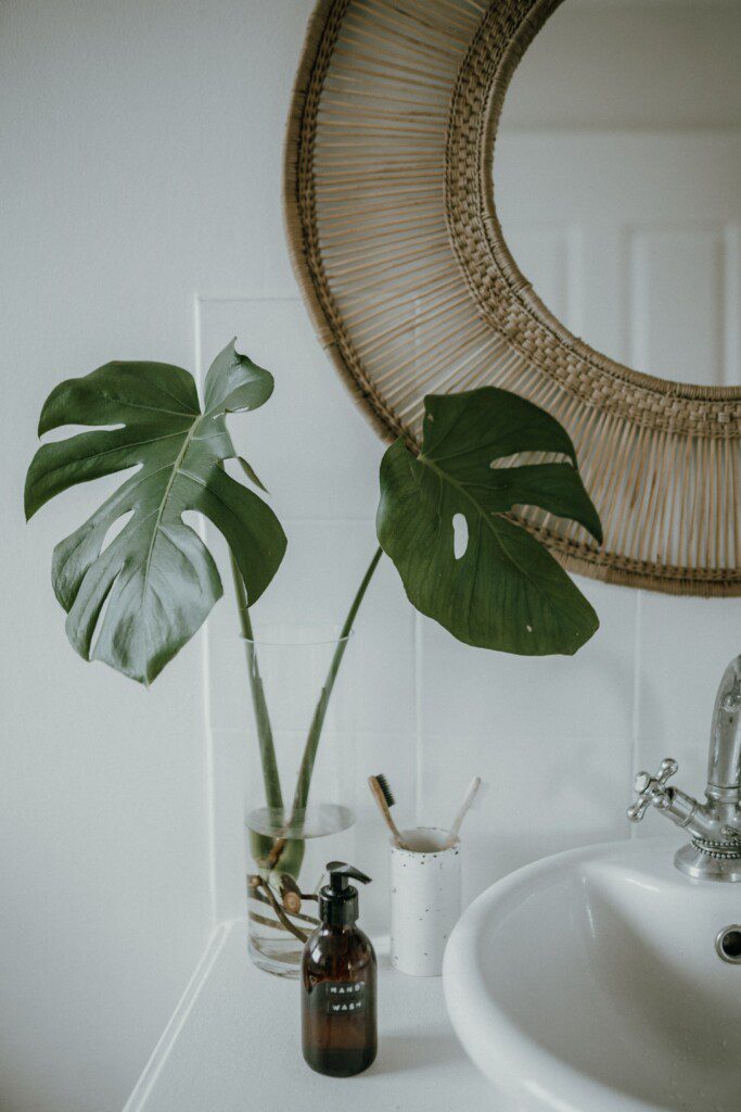 Imagem de um banheiro clean com banheiro e uma planta Costela de Adão.