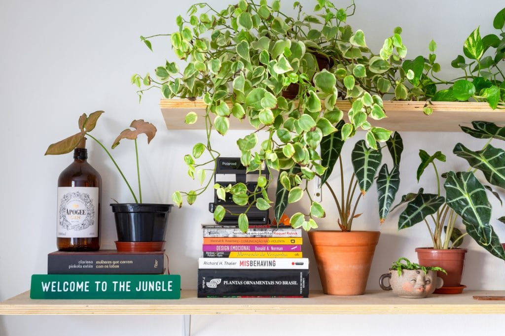 Foto que ilustra matéria em parceria com o blog “Histórias de Casa” sobre apartamento na rua General Jardim mostra uma estante com plantas e livros.