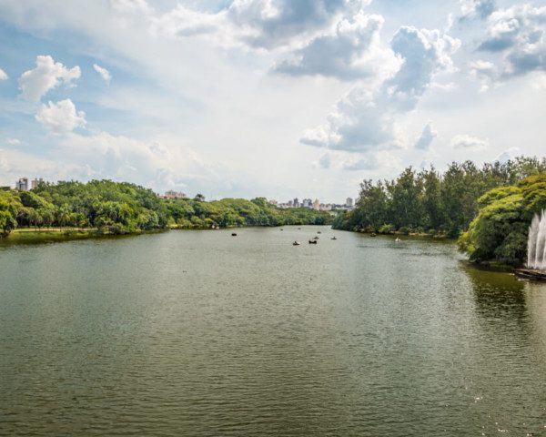 Foto que ilustra matéria sobre os parques em Campinas mostra um grande lago cercado de árvores no Parque Taquaral