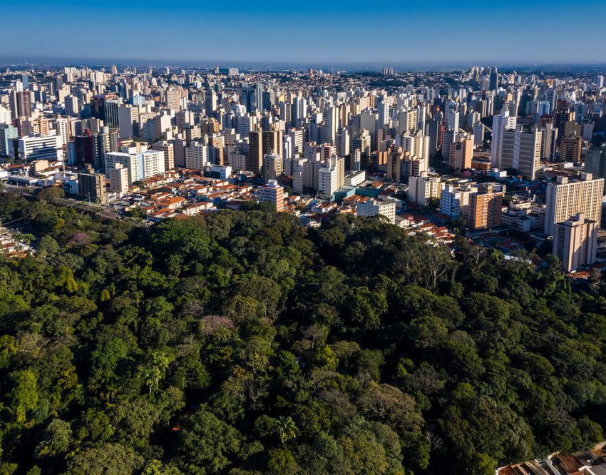 Foto que ilustra matéria sobre os melhores bairros de Campinas mostra uma área verde da cidade em primeiro plano, com altos prédios ao fundo.