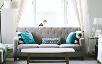 Foto que ilustra matéria sobre almofadas para sofá mostra uma sala de estar com uma janela ao fundo, com sol entrando pelas cortinas, um sofá cinza à frente dela, com almofadas de diferentes tamanhos sobre ele. No encosto do sofá, um gato sentado olha para a câmera
