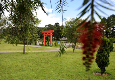 jardim japonês, no parque da cidade. Portão vermelho, tradicional da cultura japonesa, no meio da grama, com diversas flores e arbustos em volta