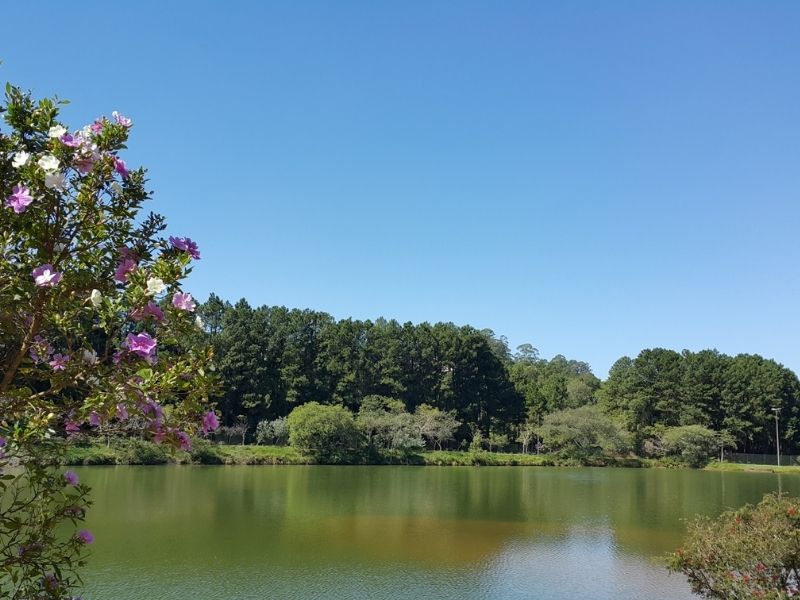 vista do lago na Aldeia da Serra, com vegetação e flores ao redor das águas
