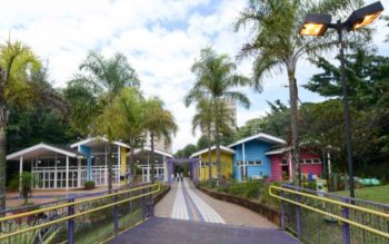 Foto que ilustra matéria sobre parques em São Bernardo do Campo mostra a entrada do Parque Raphael Lazzuri, com um caminho demarcado, algumas palmeiras ao lado e, ao fundo, casinhas coloridas que marcam a entrada do parque.