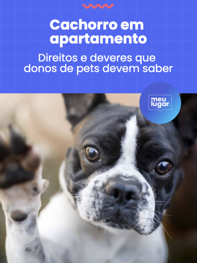 Direitos e deveres para ter cachorro em apartamento