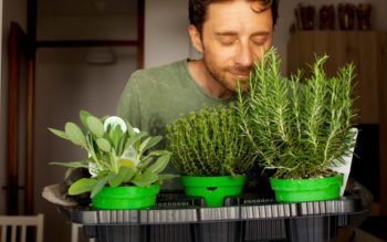 Em foto que ilustra matéria sobre horta em apartamento, um homem vestido com uma camisa verde cheira pequenos vasos com mudas de ervas para cozinha.
