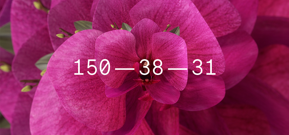 imagem mostra flores orquídeas, rosas, com o número que identifica a cor orchid flower