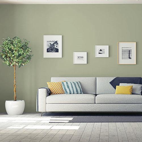 parede verde-acinzentada, com sofá branco cheio de almofadas, quadros pendurados na parede e uma planta à esquerda