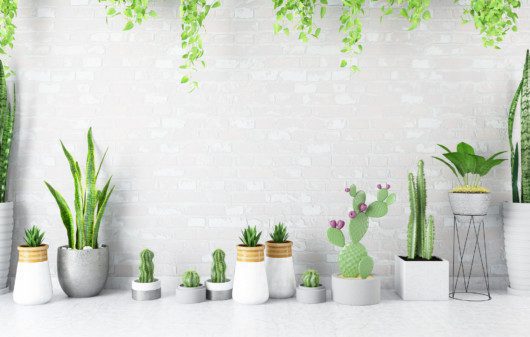 Foto mostra vasos de cimento de diferentes tamanhos e formas, com diferentes tipos de plantas, posicionados em um chão branco e diante de uma parede de tijolos brancos.