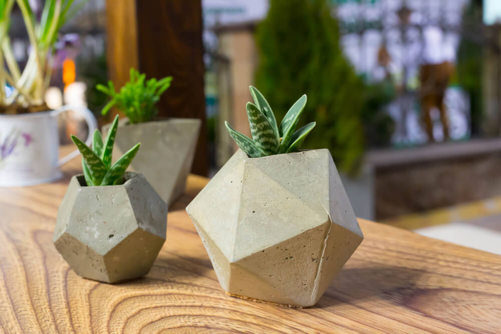 Vasos de cimento pequenos, de formatos geométricos, ideais para plantas menores e para decorar a sua sala. (Foto: Shutterstock)