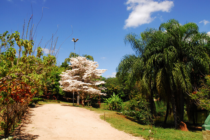 Foto que ilustra matéria sobre parques em Sorocaba mostra o Parque da Água Vermelha João Câncio Pereira.