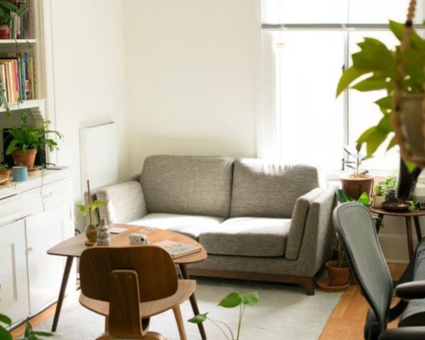 imagem mostra uma sala de estar, com sofá, prateleiras com livros, planta suspensa no teto e a luz do sol entrando pela janela