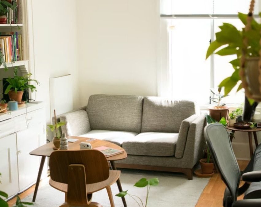 imagem mostra uma sala de estar, com sofá, prateleiras com livros, planta suspensa no teto e a luz do sol entrando pela janela