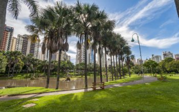 Foto que ilustra matéria sobre bairros de Goiânia mostra uma panorâmica de um dos pontos do Jardim Zoológico da cidade, com algumas palmeiras em torno de um pequeno lago e grandes prédios ao fundo.