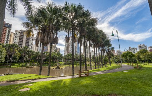 Foto que ilustra matéria sobre bairros de Goiânia mostra uma panorâmica de um dos pontos do Jardim Zoológico da cidade, com algumas palmeiras em torno de um pequeno lago e grandes prédios ao fundo.