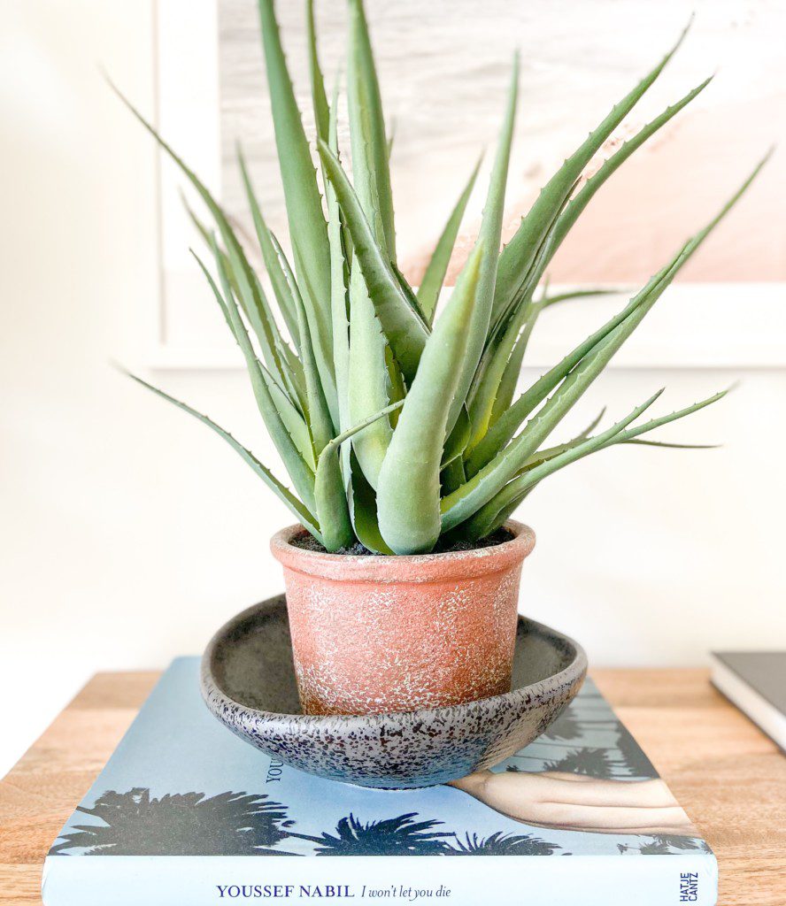Imagem de uma planta babosa em uma sala de estar, plantada em uma vaso cinza em cima de uma revista de arte.