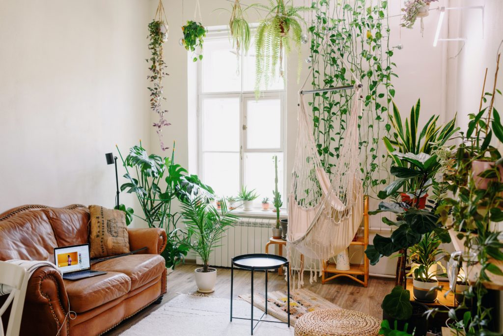 Na imagem é possível ver uma decoração de sala de estar com diversas plantas. Vasos de plantar no chão e também penduradas na parede. Além disso, na imagem temos um sofá marrom e uma mesinha de centro preta.
