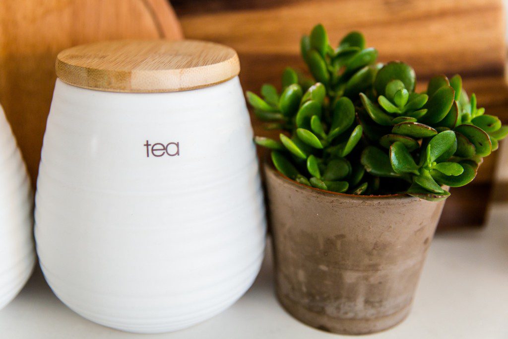 A imagem contém um pote branco com tampa de madeira e um pequeno vaso com a planta jade.