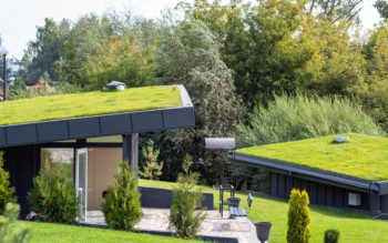 Foto que ilustra matéria sobre arquitetura biofílica mostra construções (casas), com telhados verdes, cobertos de grama e diversas árvores ao fundo.