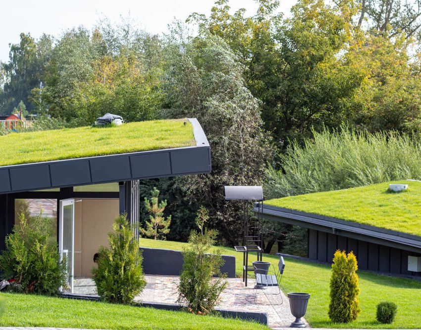 Foto que ilustra matéria sobre arquitetura biofílica mostra construções (casas), com telhados verdes, cobertos de grama e diversas árvores ao fundo.