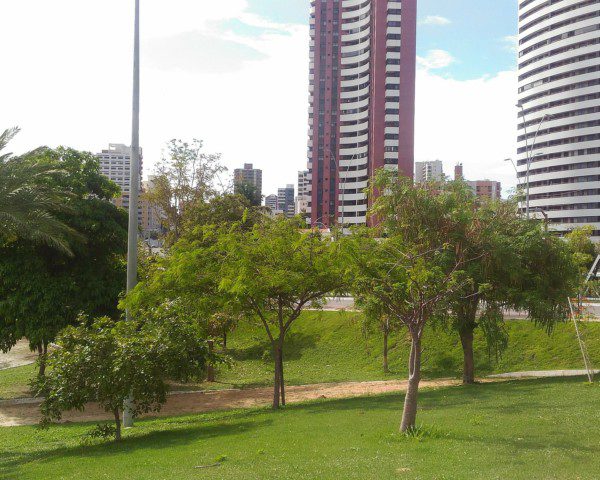 Foto que ilustra matérias sobre parques em Fortaleza mostra um gramado e árvores que fazem parte do Parque Estadual do Cocó, com prédios ao fundo.
