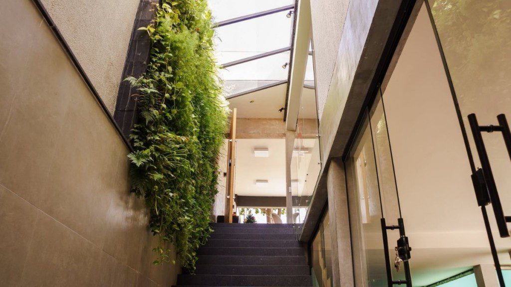 cortina verde de plantas em uma lateral de uma escada