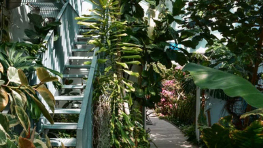 uma escada com várias plantas ao redor, em cascata e horizontais