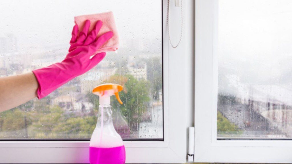 mão com luvas cor-de-rosa limpando janela