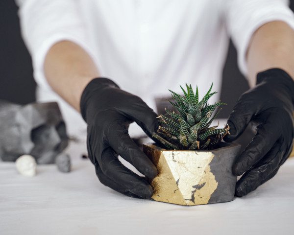 Imagem de uma pessoa segurando um vaso de cimento com uma planta suculenta.