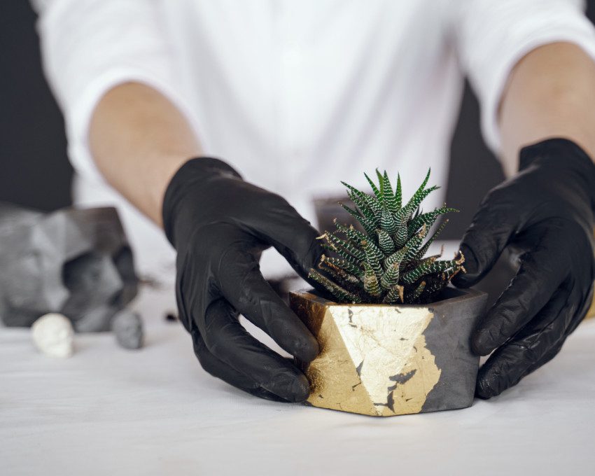 Imagem de uma pessoa segurando um vaso de cimento com uma planta suculenta.