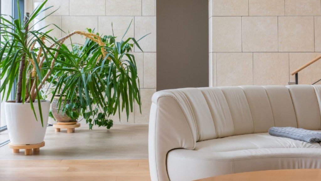 sofá branco curvo em sala quadrada, com plantas ao fundo