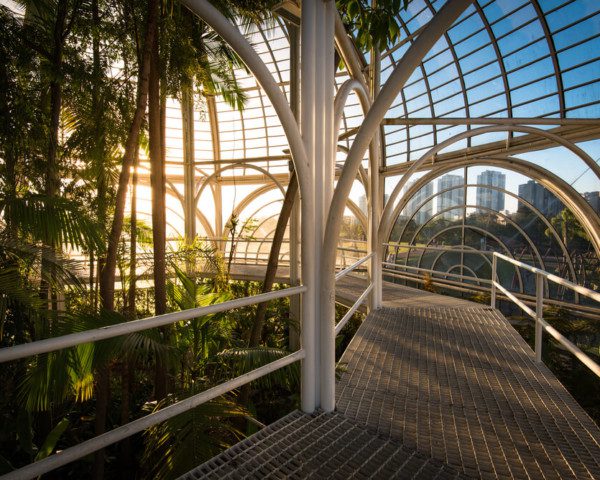 Foto que ilustra matéria sobre o que fazer em Curitiba mostra uma vista de dentro da estufa do Jardim Botânico da cidade, com plantas do lado esquerdo, na parte interna, e prédios ao fundo com o céu azul do lado de fora da estrutura de metal