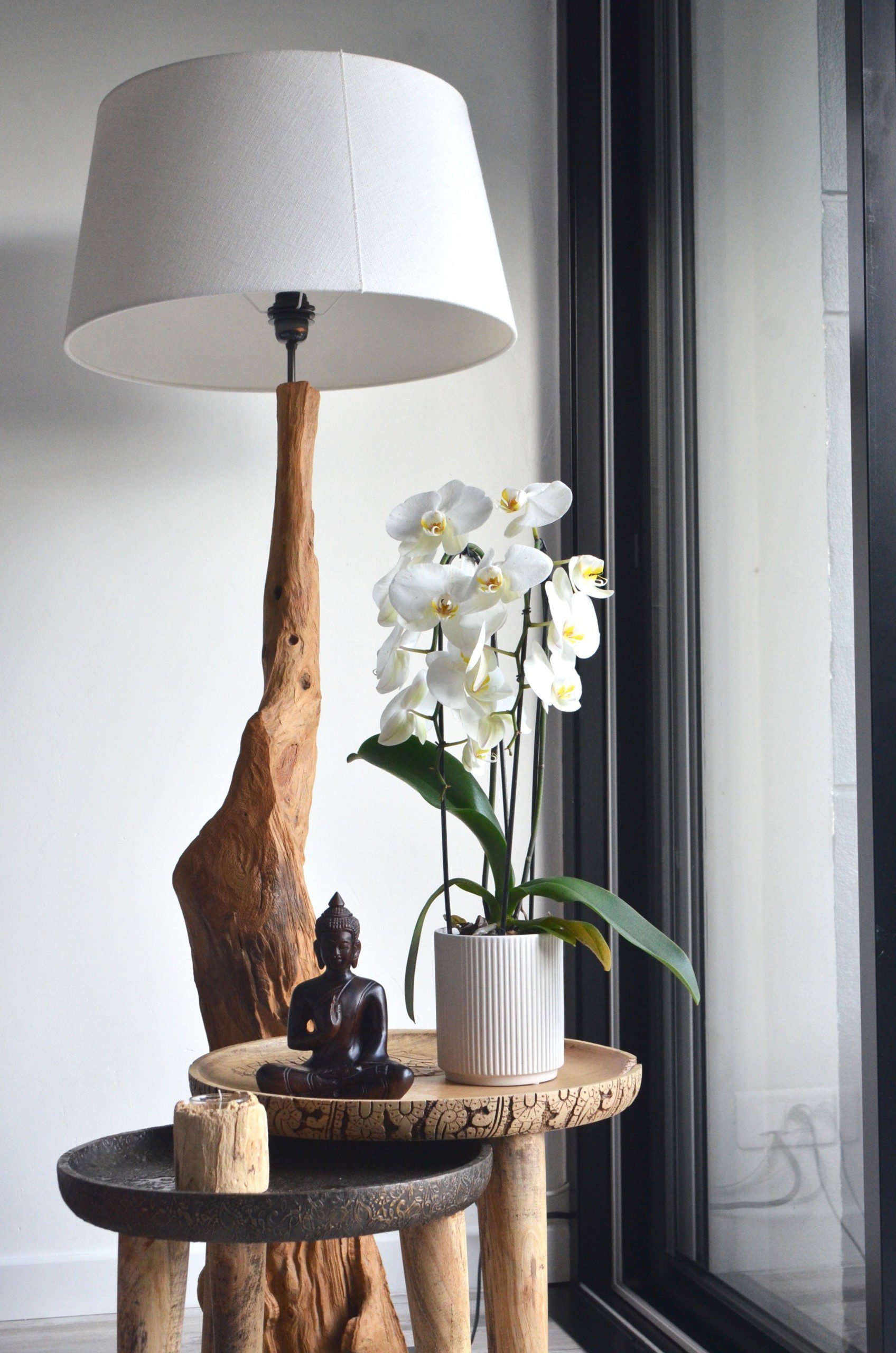 Imagem de um vaso de orquídeas brancas sob mesas de apoio com uma luminária rústica.