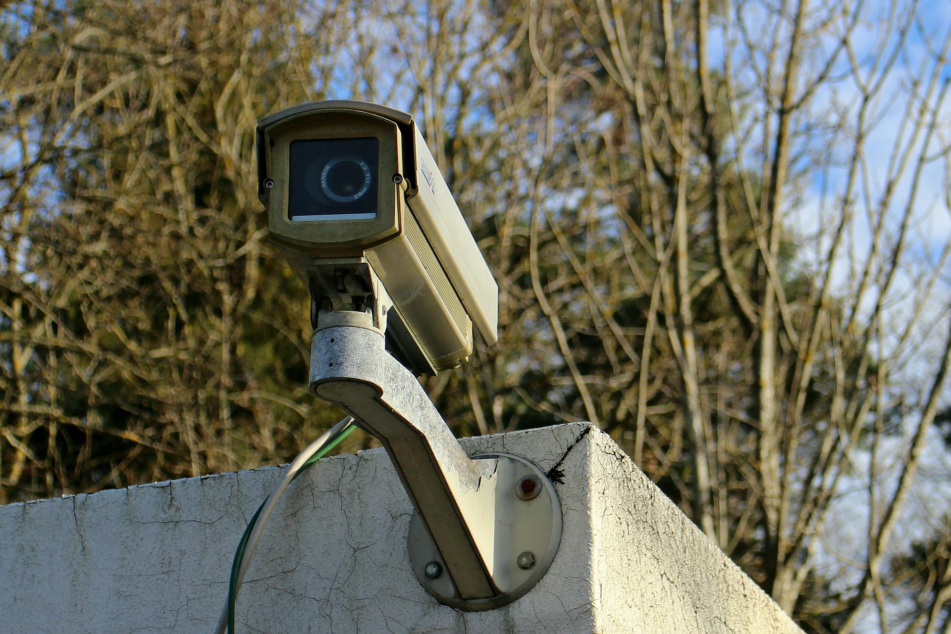 Imagem de uma câmera de segurança no alto de um muro de uma casa com plantas no fundo.