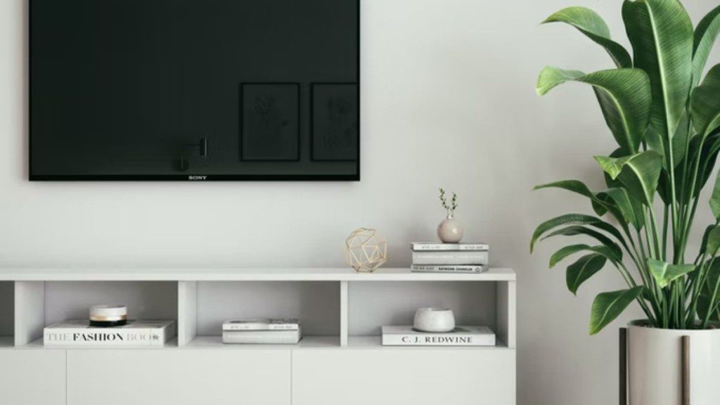 sala de tv minimalista com tv de tela plana e planta