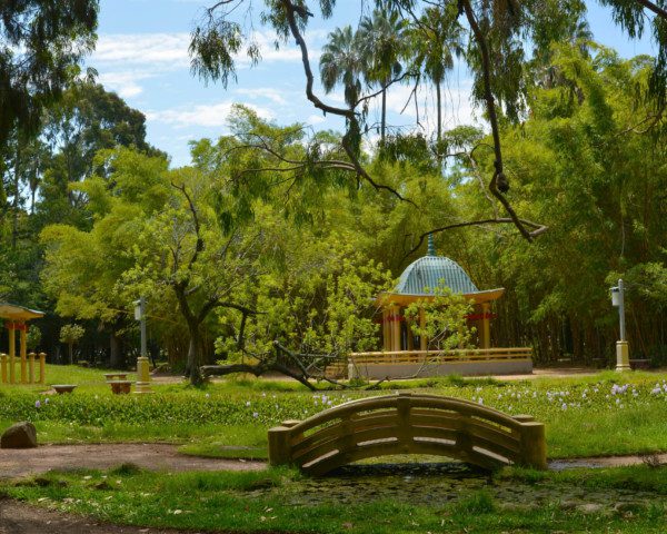 Foto que ilustra matéria sobre Parques em Porto Alegre mostra um recanto do Parque Farroupilha, com uma pequena ponte ao centro, um coreto ao fundo e muitas árvores no entorno.
