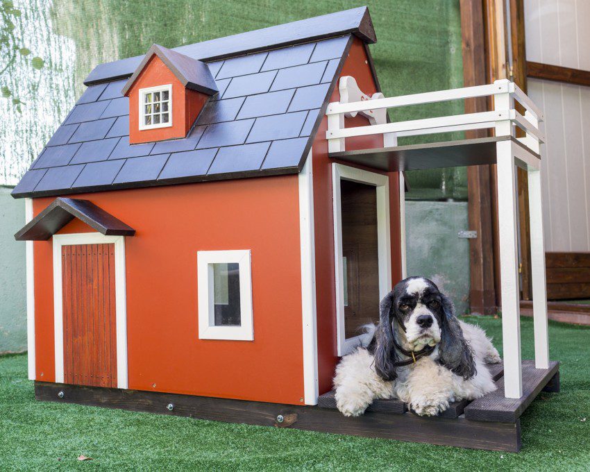 Imagem de uma casinha de cachorro madeira na cor de marrom terra e com telhado preto e um cachorro peludo com pêlos branco e preto