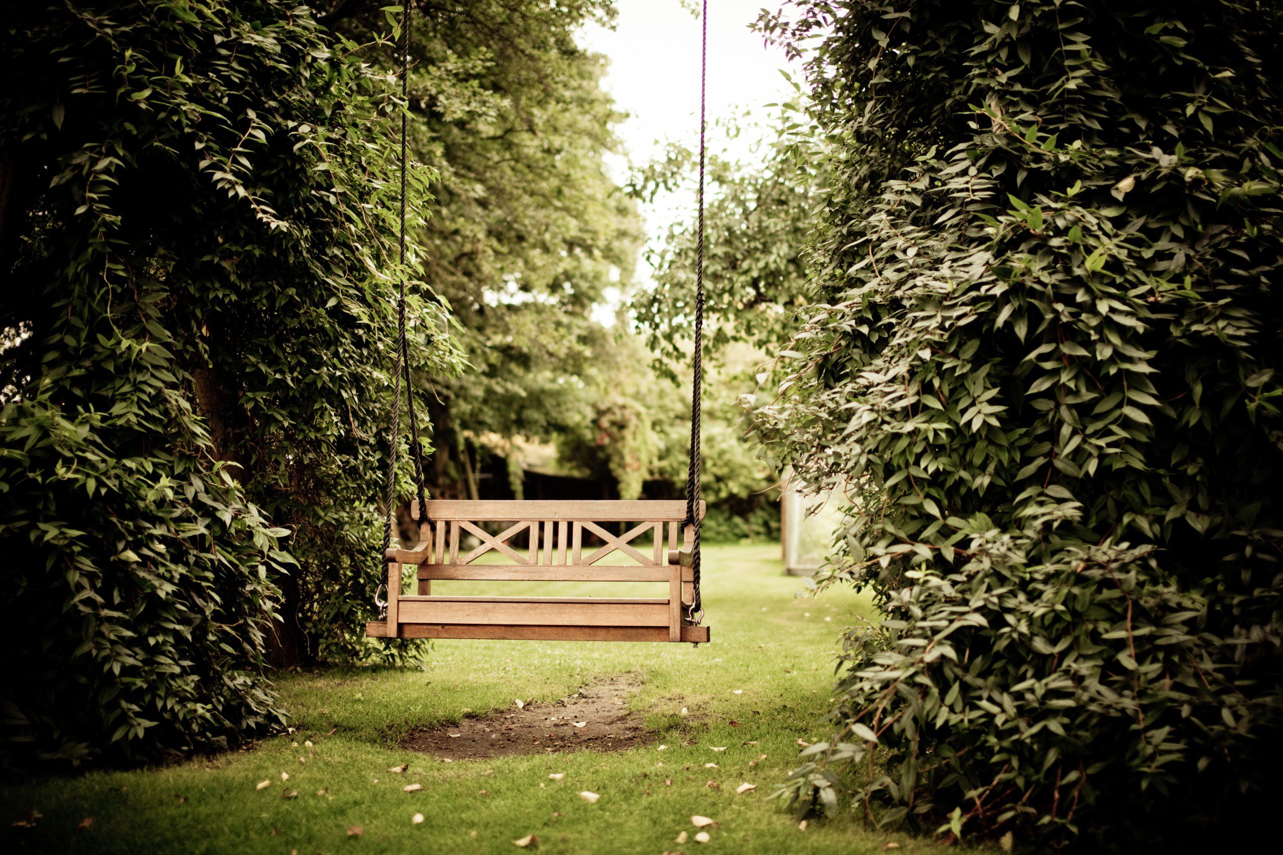Imagem de um balanço em madeira pendurado em uma árvore no jardim 