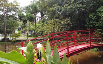 Foto que ilustra matéria sobre parque em Osasco mostra um ponto do Parque Chico Mendes, com uma pequena ponte vermelha sobre um pequeno lago rodeado por árvores.