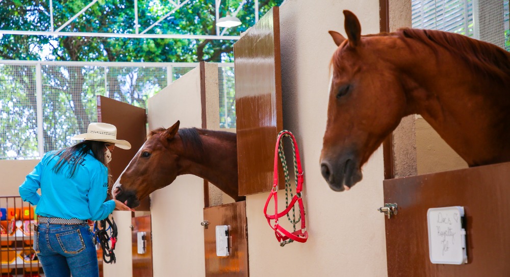Foto que ilustra matéria sobre  parque em Osasco mostra duas baias com cavalos e uma mulher alimentando os animais no novo espaço de Equoterapia do Parque Chico Mendes.
