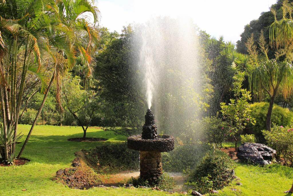 Foto que ilustra matéria sobre parques em Belo Horizonte mostra um pequeno chafariz espirando água no Parque Ecológico Roberto Burle Marx