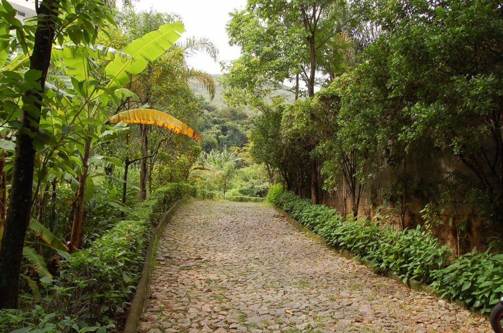 Foto que ilustra matéria sobre parques em Belo Horizonte mostra o caminho de pedras cercado de árvores na entrada do Parque Mata das Borboletas