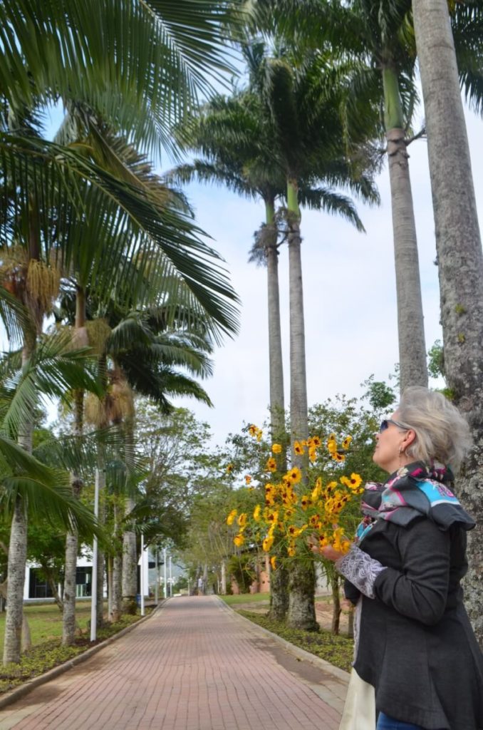Foto que ilustra matéria sobre os parques em Florianópolis mostra uma mulher de cabelos grisalhos e óculos escuros segurando flores e olhando para as palmeiras do Jardim Botânico da cidade.
