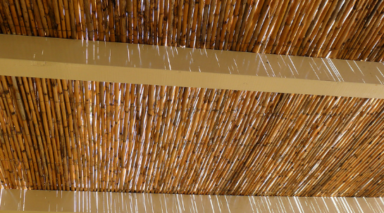 Cobertura de bambu