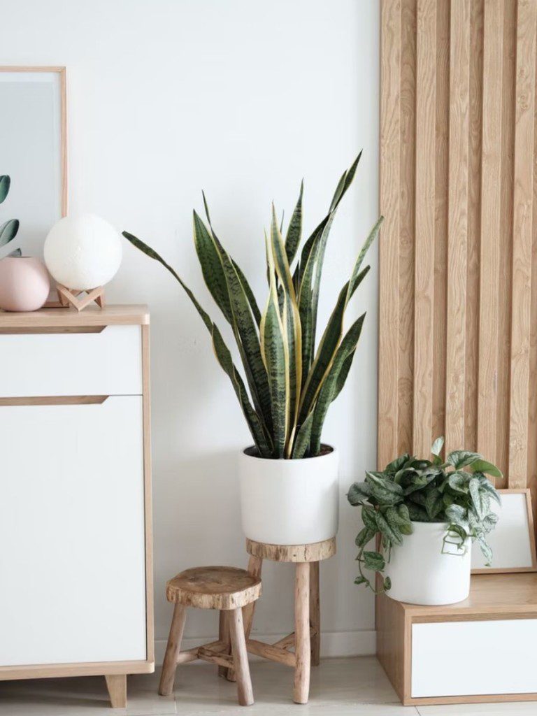 ambiente com vaso de plantas brancos, móveis claros, em estilo escandinavo