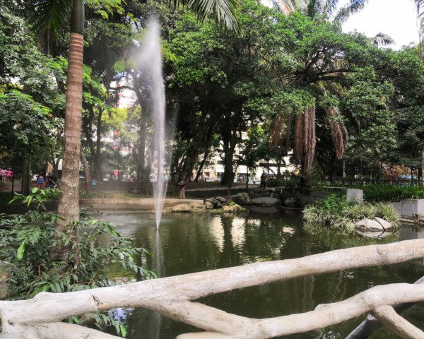 Foto que ilustra matéria sobre parque em Niterói mostra um pedaço da paisagem do Campo de São Bento, com um pequeno lago com o grande esguicho de água no meio e muitas árvores atrás.