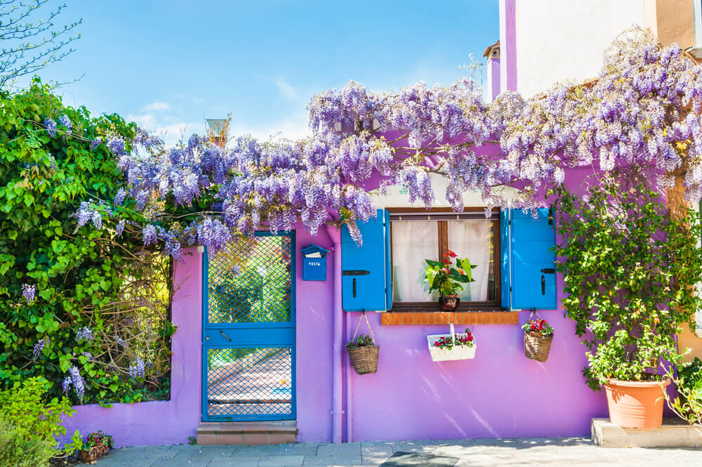 Essa bela casa em uma ilha perto de Verona, na Itália, combinou a cor violeta da fachada com as lavandas que cobrem o seu telhado. Já o azul ajuda a ressaltar a porta e a janela.