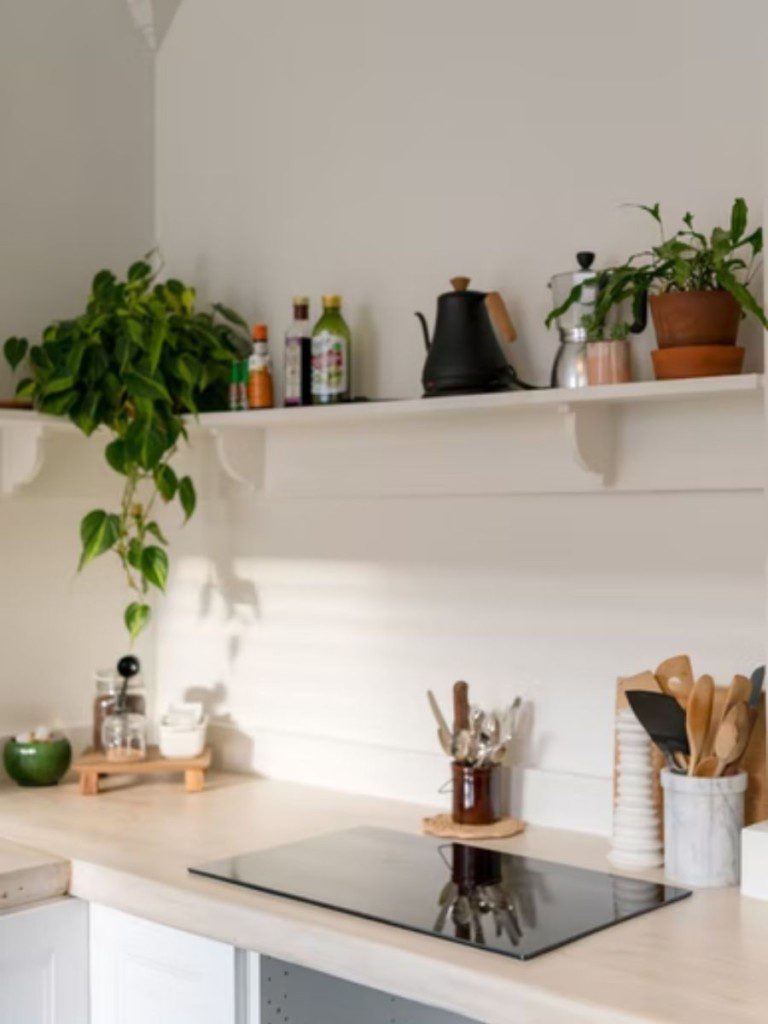 prateleiras em cozinha cheia de plantas
