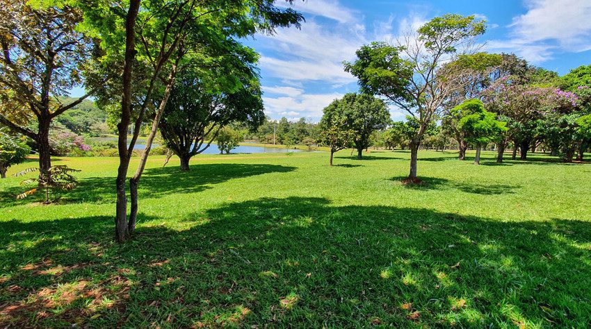 Foto que ilustra matéria sobre o Parque do Sabiá em Uberlândia mostra um trecho do espaço com um grande gramado e algumas árvores e uma parte de um lago aparecendo ao fundo, em um dia de céu azul com poucas nuvens brancas.